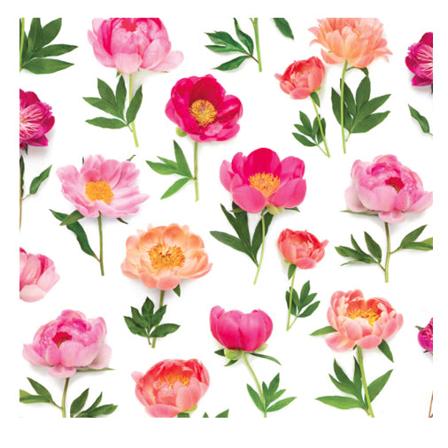 Bottle Branch Gift Wrap- Peony Flowers