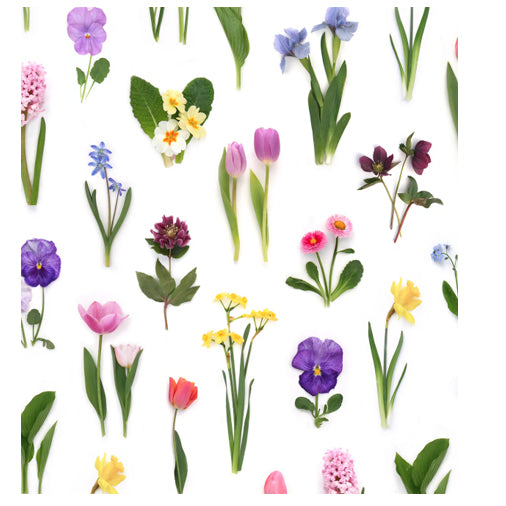 Bottle Branch Gift Wrap- Spring Flowers