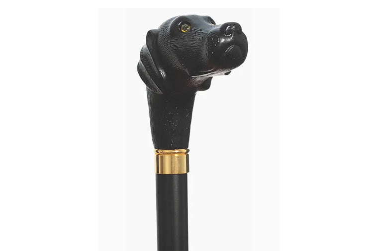Scout Walking Stick