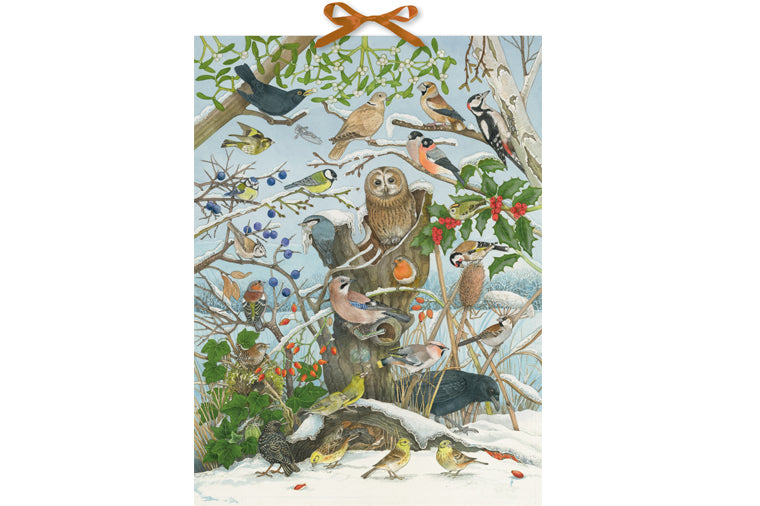 Alison Gardiner - Birds in Winter Advent Calendar