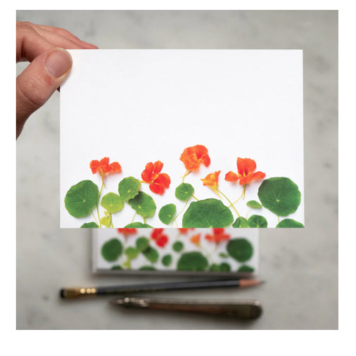 Bottle Branch Flat Card Set - Nasturtiums