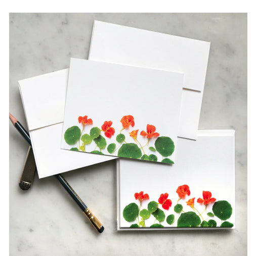 Bottle Branch Flat Card Set - Nasturtiums
