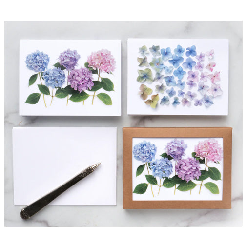 Bottle Branch Folding Card Set - Hydrangea