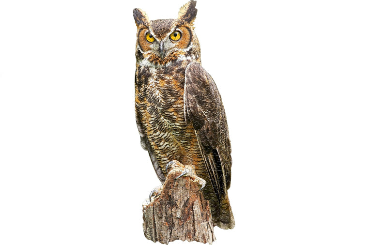 Madd Capp Games - I am Great Horned Owl Puzzle