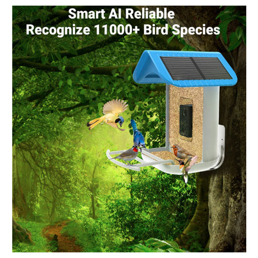 BirdReel Smart Bird Feeder