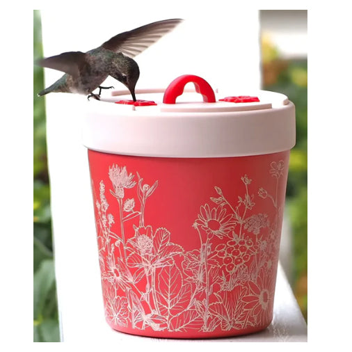 Anna's Healthy Hummingbird - Insulated Feeder
