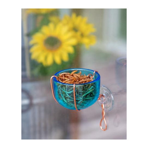 Copper Bluebird Window Feeder