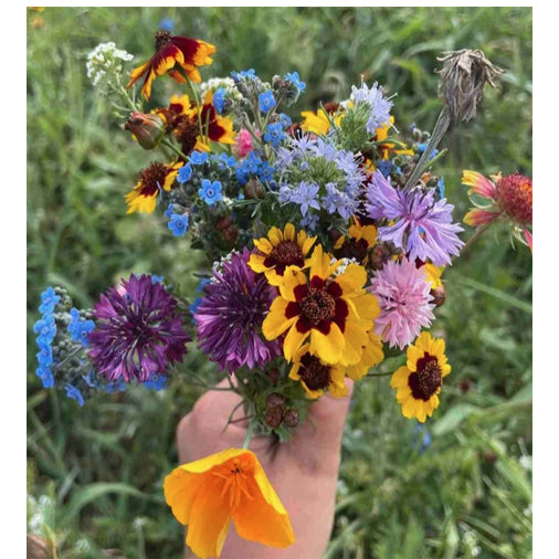 Bee Nectary Mix Flower Seeds