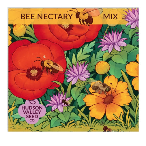 Bee Nectary Mix Flower Seeds