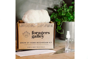 Forager's Gallery Grow At Home Mushroom Kit - Lion's Mane