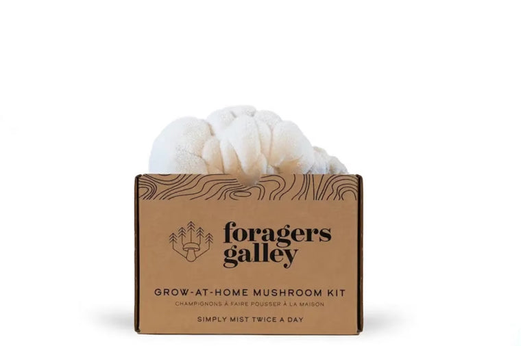 Forager's Gallery Grow At Home Mushroom Kit - Lion's Mane