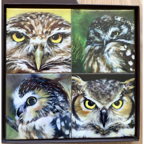 Art by Alyssa - Owl Coaster