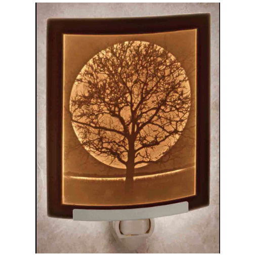 Midnight Moon Night Light