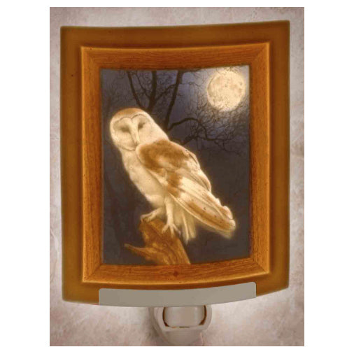 Owl Porcelain Night Light