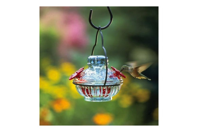 Par-a-Sol - Pot de Creme Hummingbird Feeder - Aqua