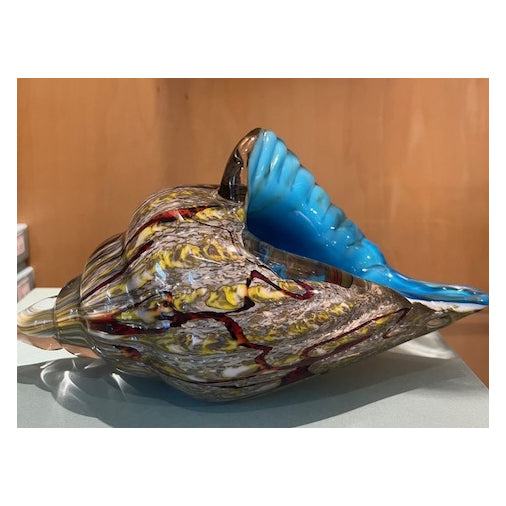 Glass Shell