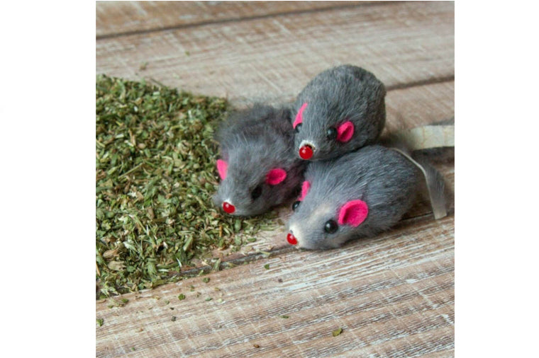 Set of 3 Marinated Mice - Catnip Toy