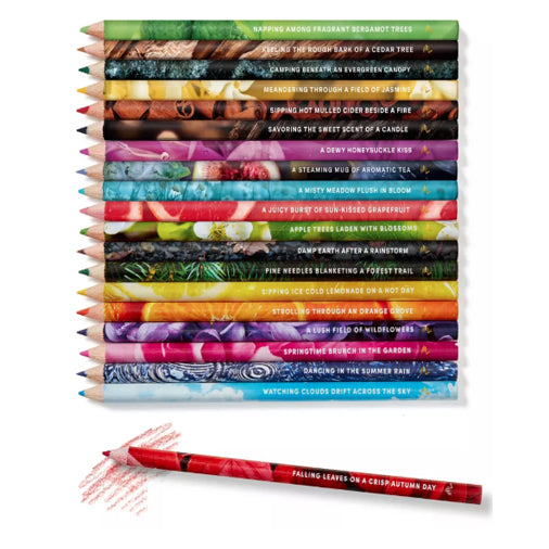 Lifelines Rub and Sniff Scented Colored Pencils 20pk