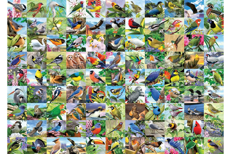 99 Delightful Birds Ravensburger Puzzle 300pc