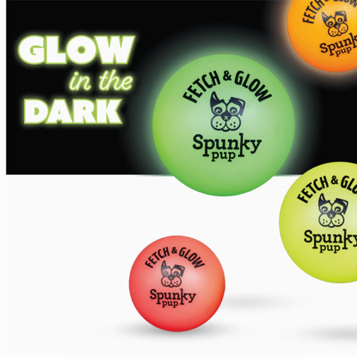 Fetch and Glow Ball large