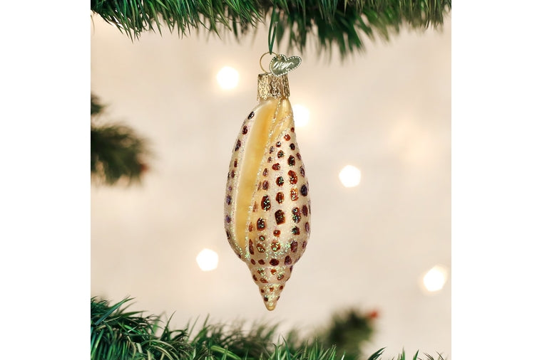 Old World Christmas - Junonia Shell Ornament