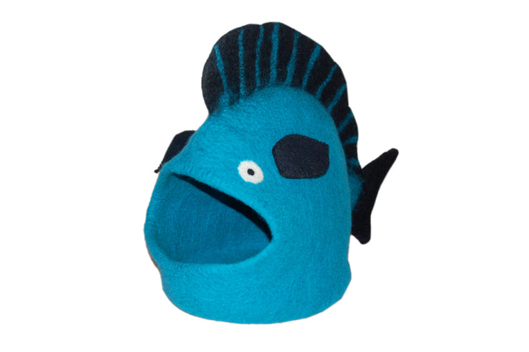 Teal Fish Cat Cave