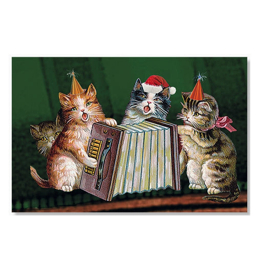 Alison Gardiner - Cats At Christmas Luxury Advent Calendar