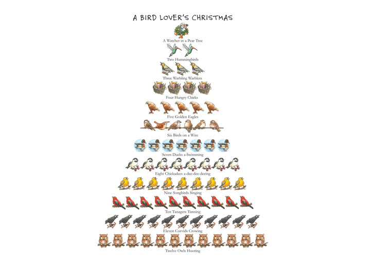 A Bird Lovers Christmas Boxed Note Cards