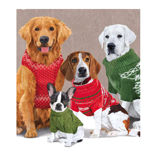 Dogs in Sweaters Holiday Card Set