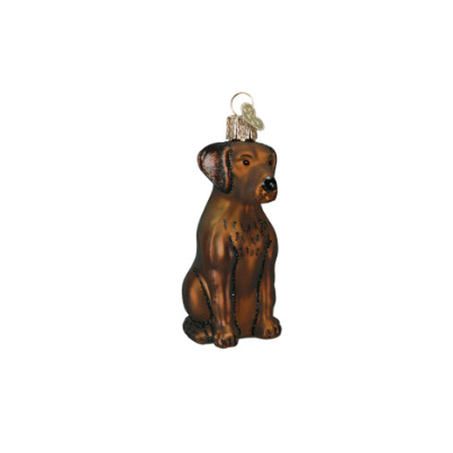 Old World Christmas - Chocolate Labrador Ornament