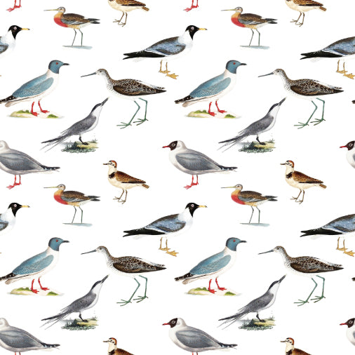 Shorebirds Gift Wrap