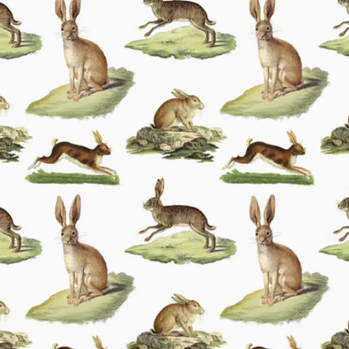 Rabbits Gift Wrap