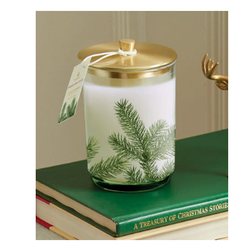 Thymes - Frasier Fir - Medium Pine Luminary Candle