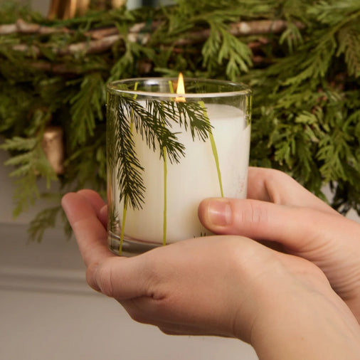 Thymes - Frasier Fir - Poured Candle