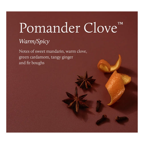Thymes - Frasier Fir Pomander Clove Votive Candle 2oz