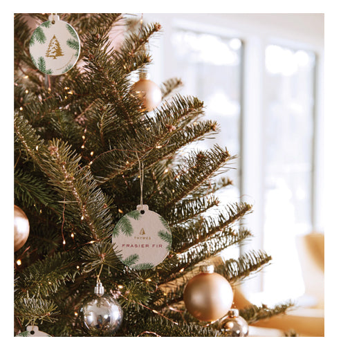 Thymes - Frasier Fir - Sachet