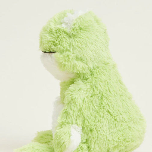 Warmies Frog