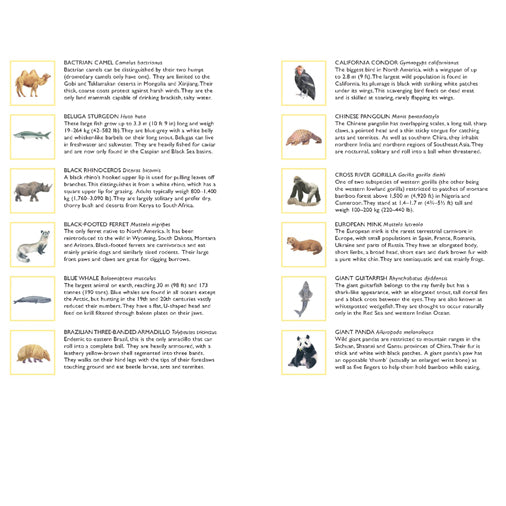 Endangered Animals Bingo