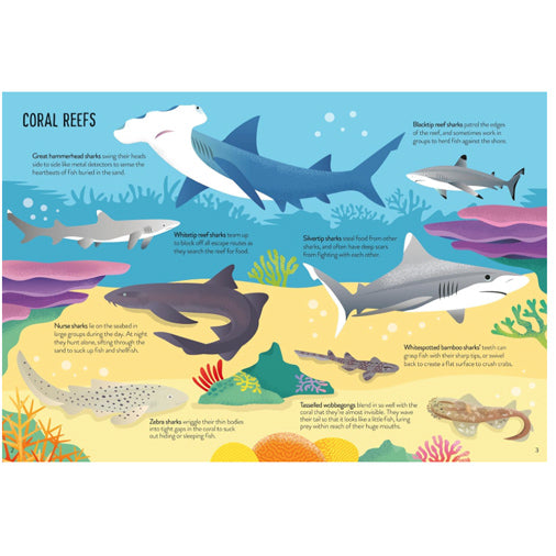 Sharks Book and 300-Piece Puzzle