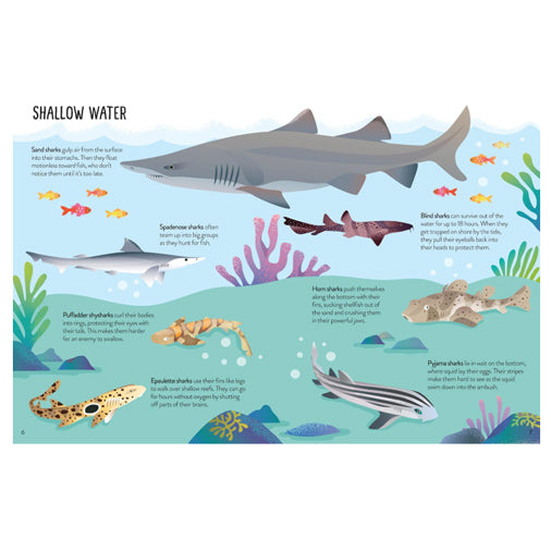 Sharks Book and 300-Piece Puzzle