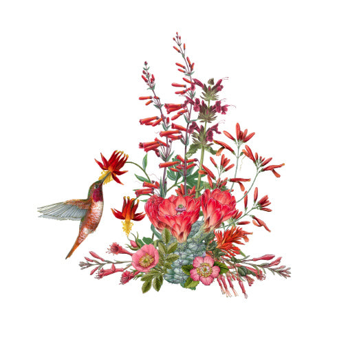 Erin E. Hunter: Pollinators Boxed Notecards