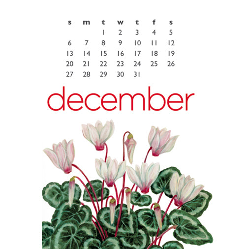 Art for Everyday - Janine Moore's 2026 Flowers Desk Calendar 5x7