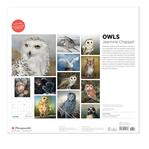 2027 Owls: Jeannine Chappell Wall Calendar