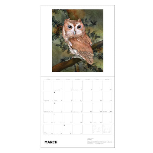 2027 Owls: Jeannine Chappell Wall Calendar