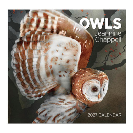 2027 Owls: Jeannine Chappell Wall Calendar