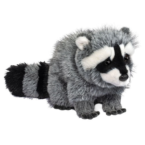 Douglas Roz Raccoon