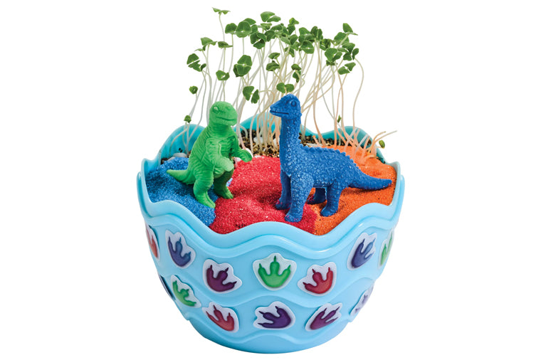 Mini Garden Dinosaur Craft Kit