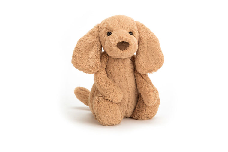 Jellycat - Bashful Toffee Puppy Small