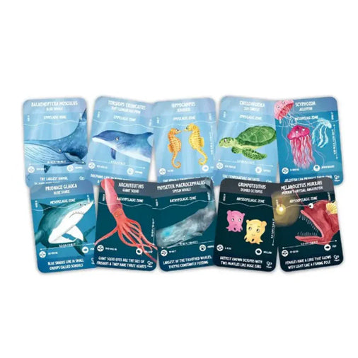 Ocean Life Puzzle, 200 Pc