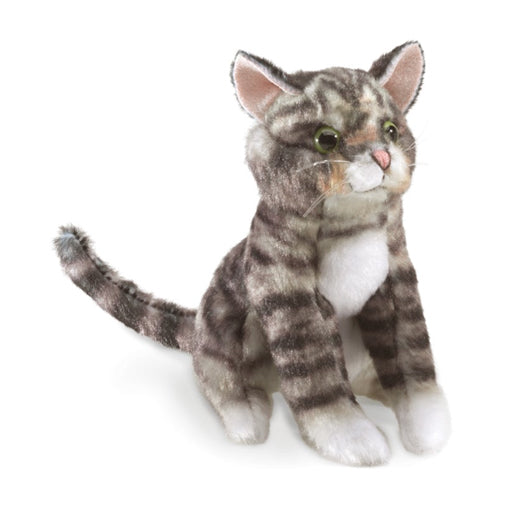 Tabby Cat, Hand Puppet